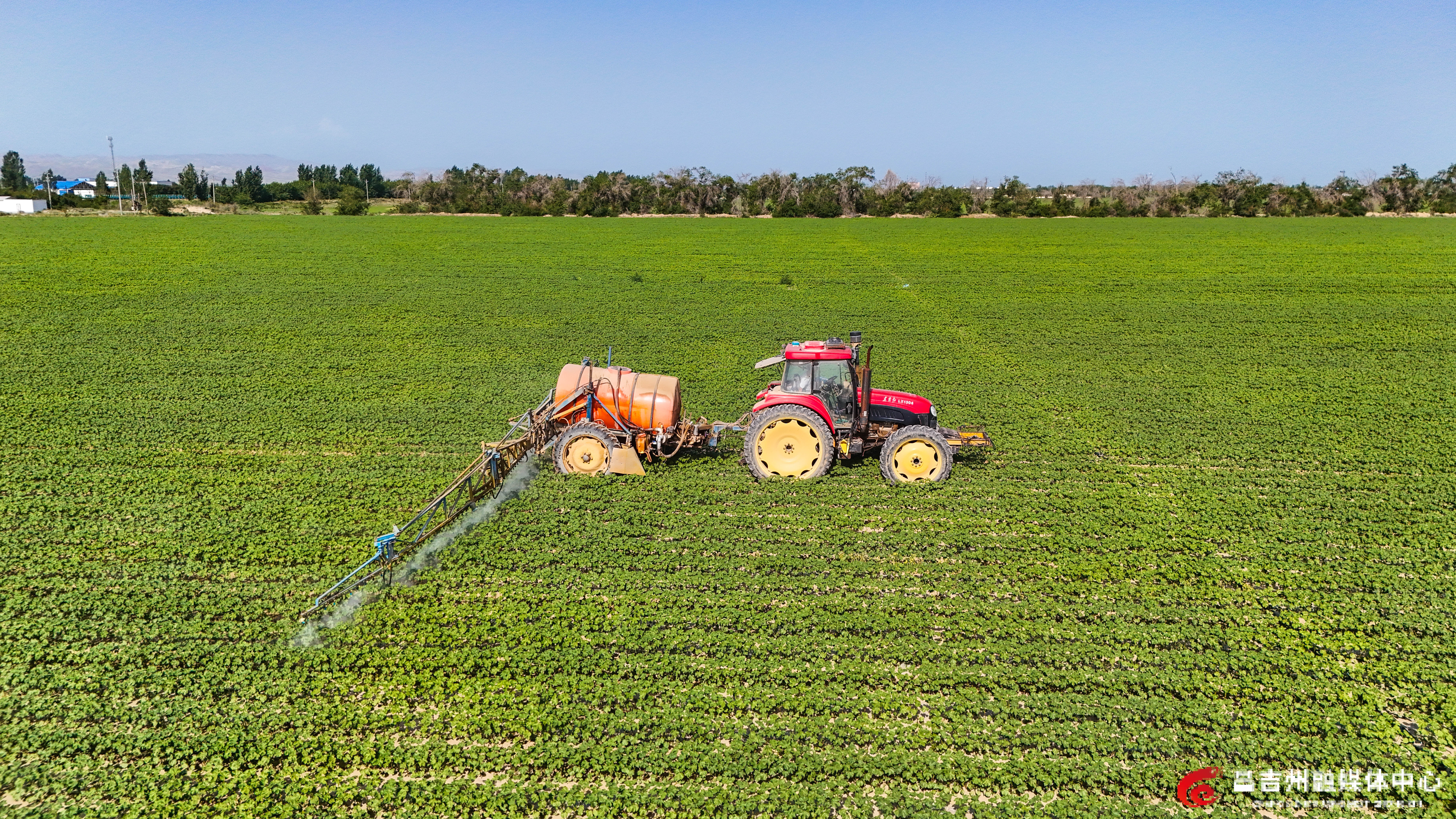 DJI_20250606101811_0710_D