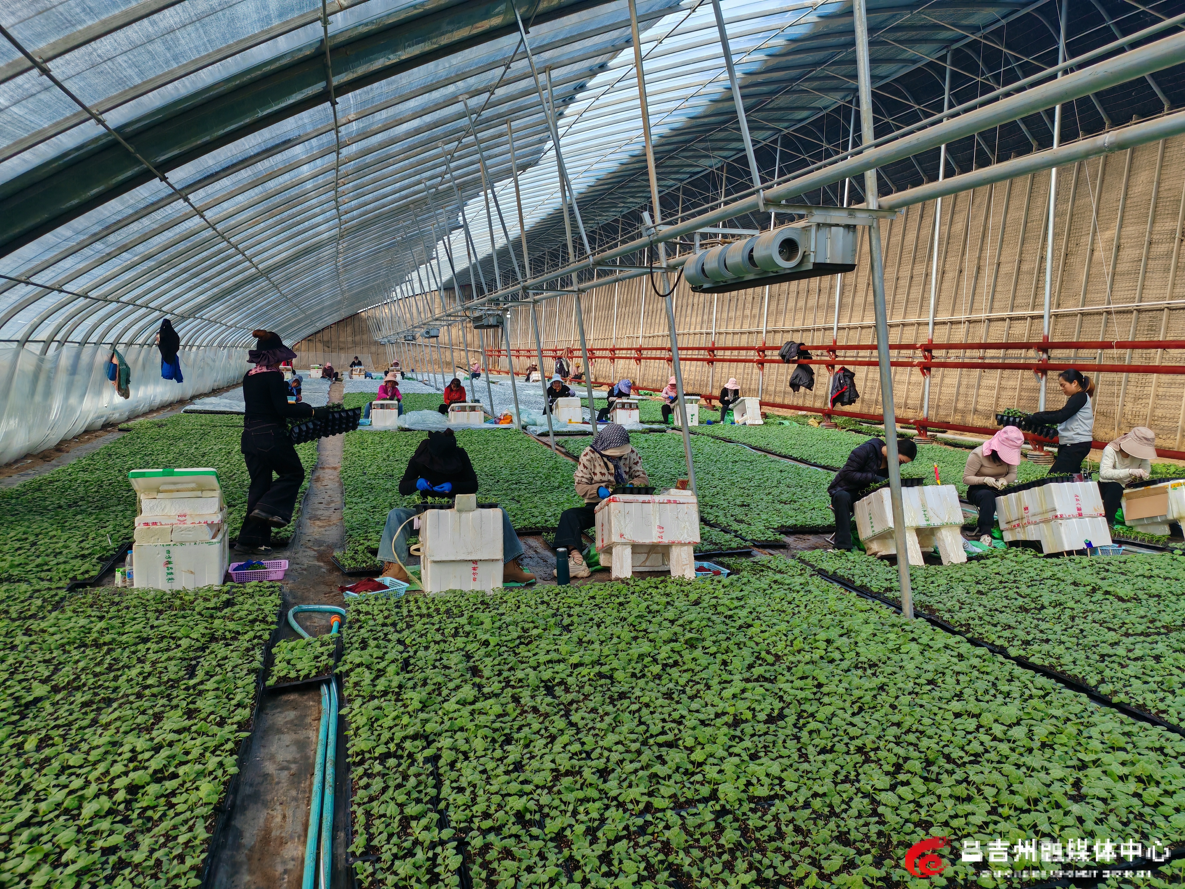 mmexport1772784017402