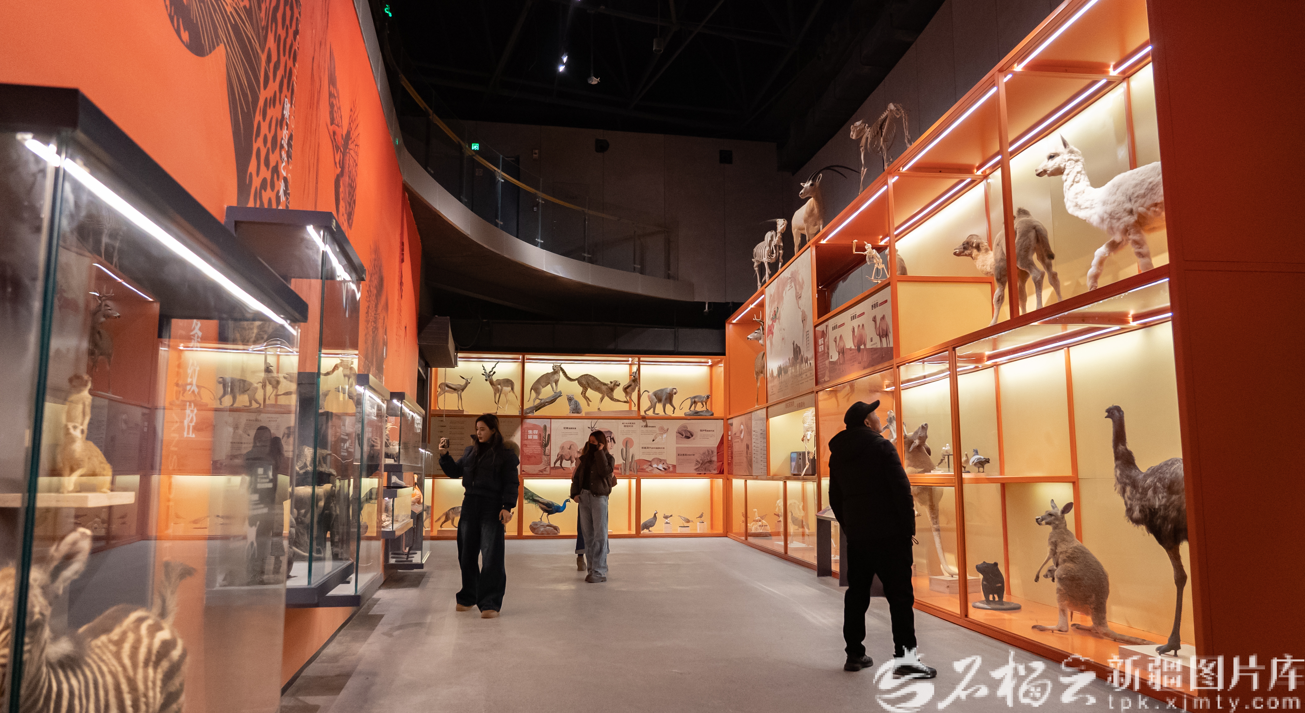 mmexport1768472128772