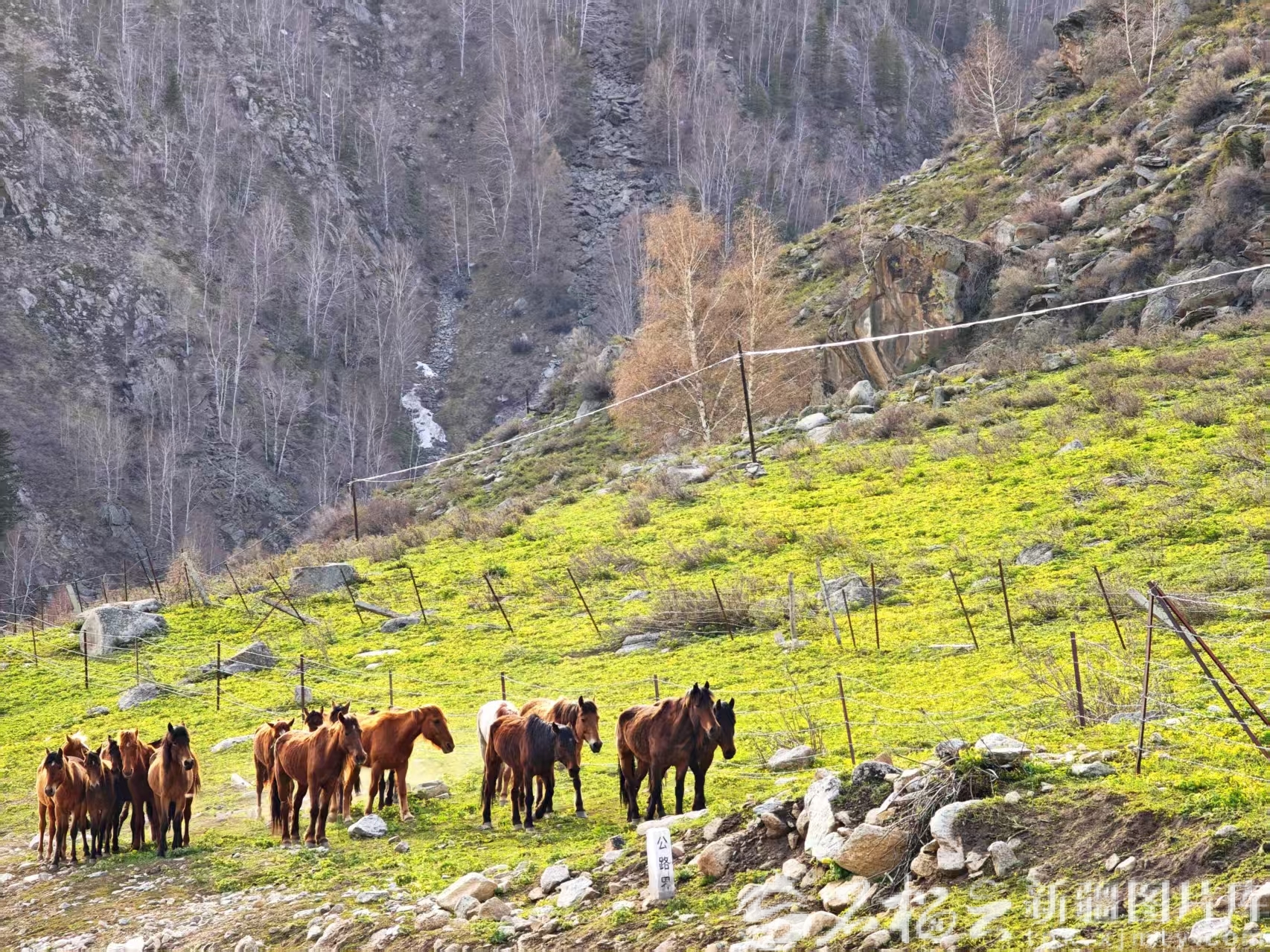 mmexport1777092787272