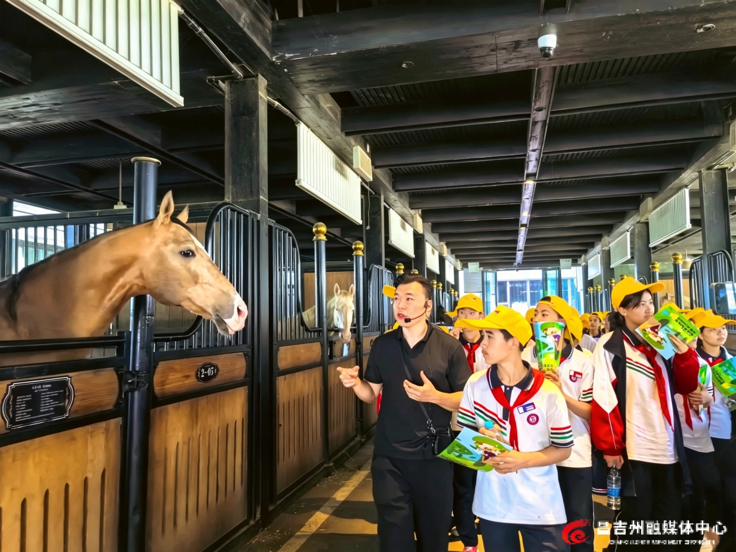 MEITU_20260429_123226625