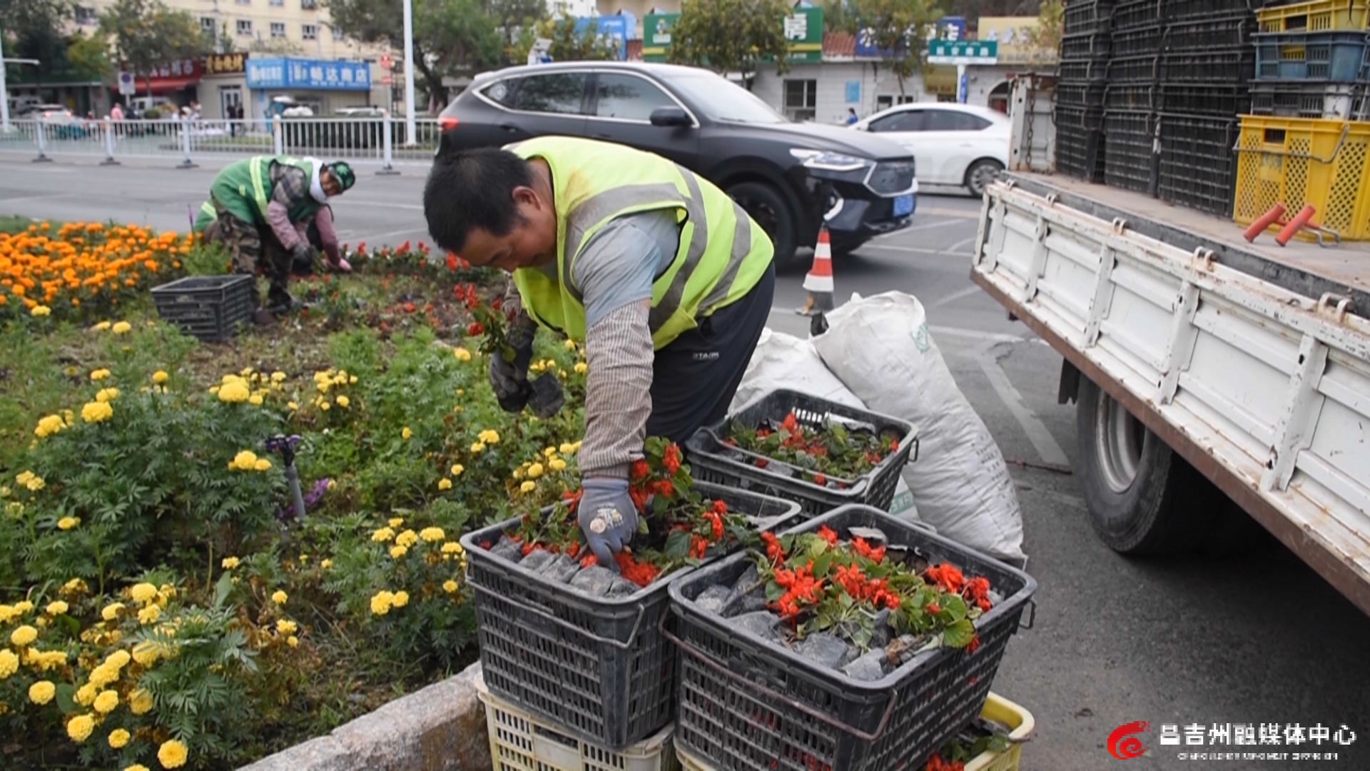 宋姚洁鲜花扮靓(4).jpg