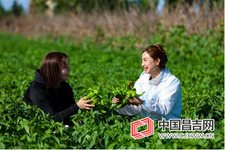 微信图片_20230625133017.png