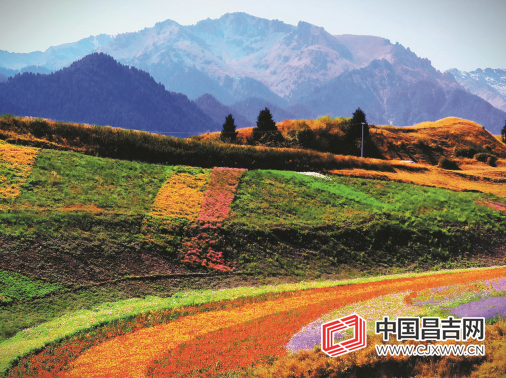 微信截图_20200723104634.png