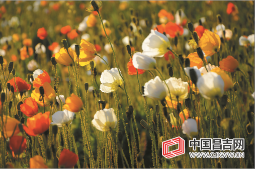 微信截图_20200723104648.png