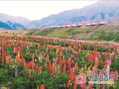 微信截图_20200723104656.png
