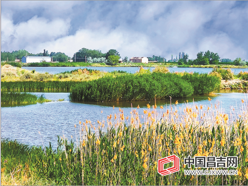 微信截图_20200723104704.png