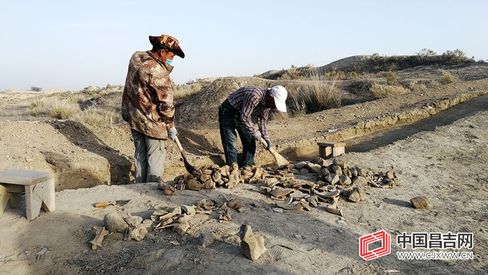 IMG_20200924_184023.jpg IMG_20200924_184023.jpg