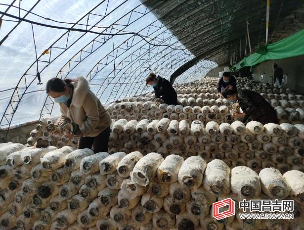 微信截图_20200417125354.png