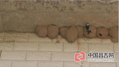 微信截图_20200609113744.png