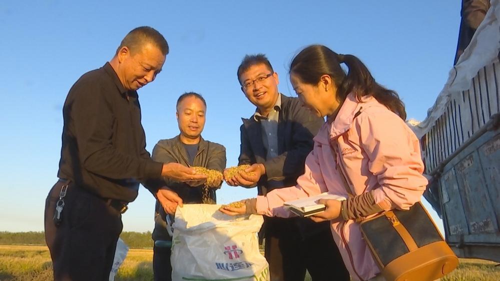援疆专家勤指导 富硒水稻种得好
