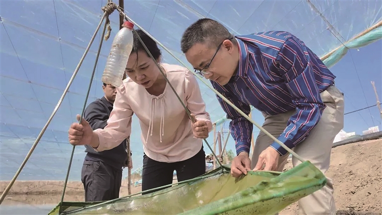 泉州援疆水产专家助力昌吉市对虾养殖产业杨帆