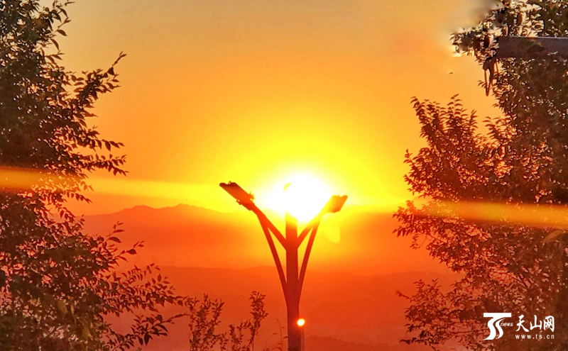 8月2日早晨,乌鲁木齐阳光灿烂,初升的太阳像火一样照在雅山公园里.
