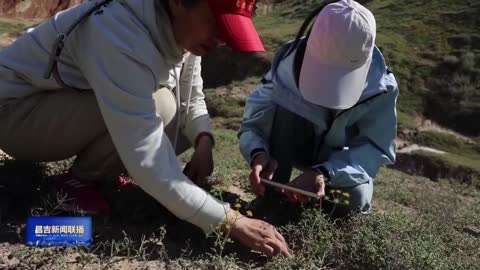 阜康市举办野生植物保护法治宣传