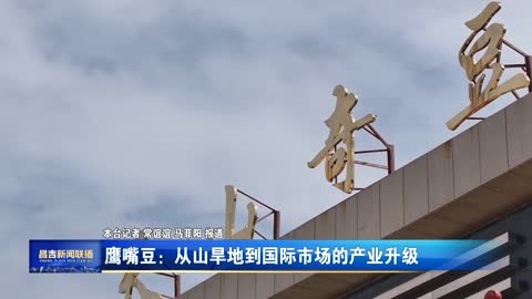 鹰嘴豆：从山旱地到国际市场的产业升级