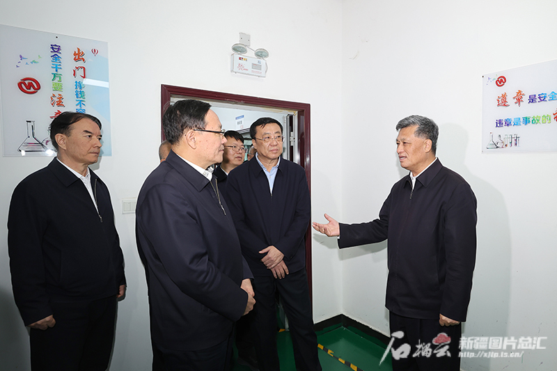 马兴瑞在乌鲁木齐经济技术开发区（头屯河区）调研