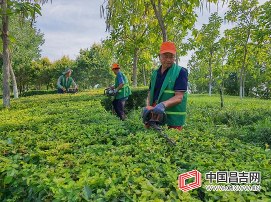 城市绿化  人人参与丨走进游园公园 邂逅州府灵秀之美