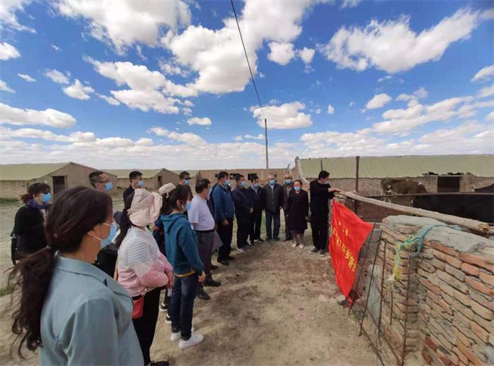 深入养殖圈舍围绕肉牛品种改良及饲养管理开展指导服务.png