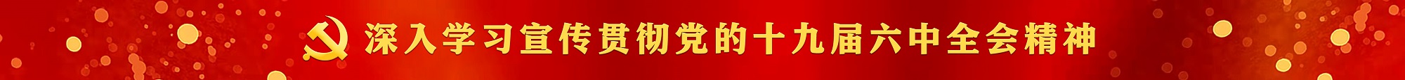 网站  十九届.jpg