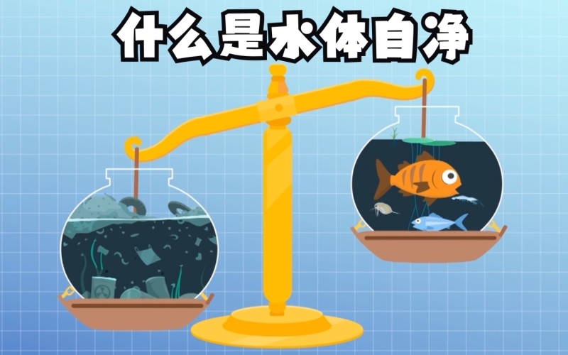 水环境——什么是水体的自净？