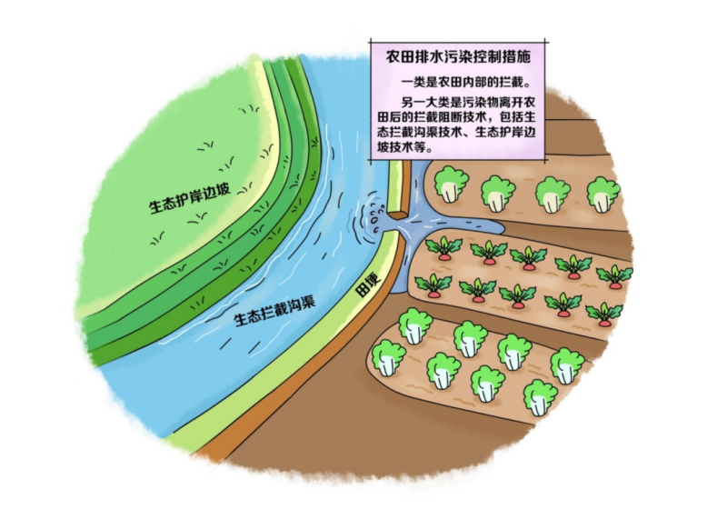 水环境——农田排水污染控制措施主要有哪些？