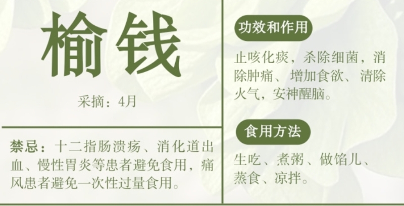 小石榴说科普丨“体重管理年”，一起科学“吃草”