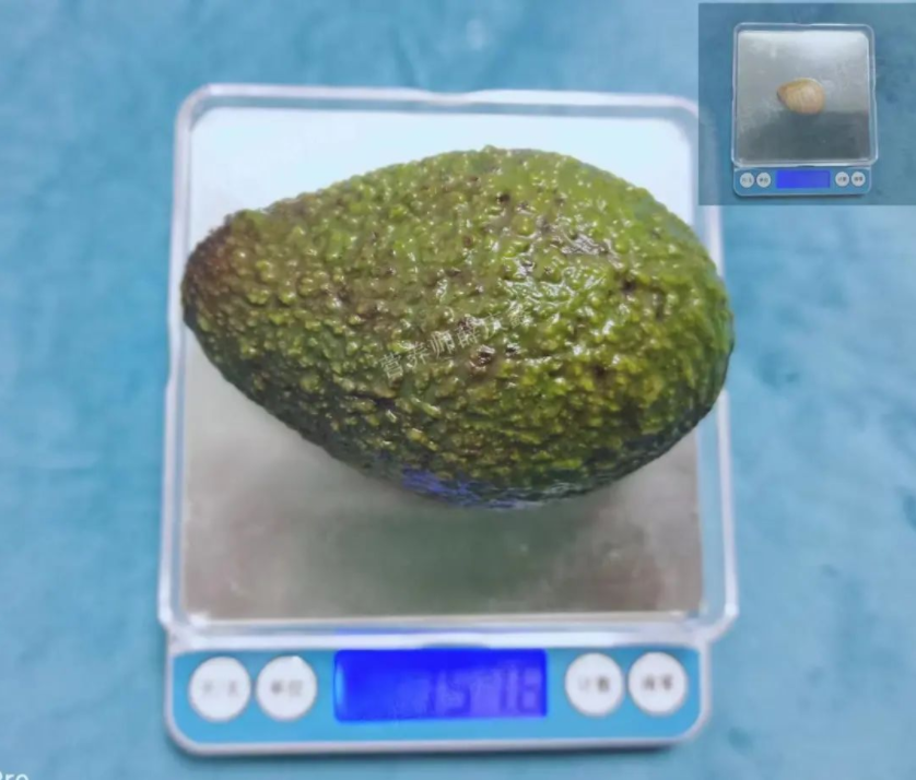 微信图片_20220715121320.png
