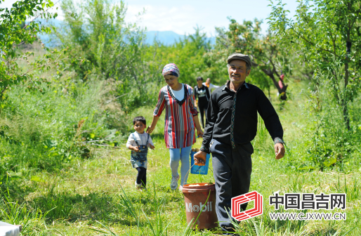 与林相伴 逐绿前行