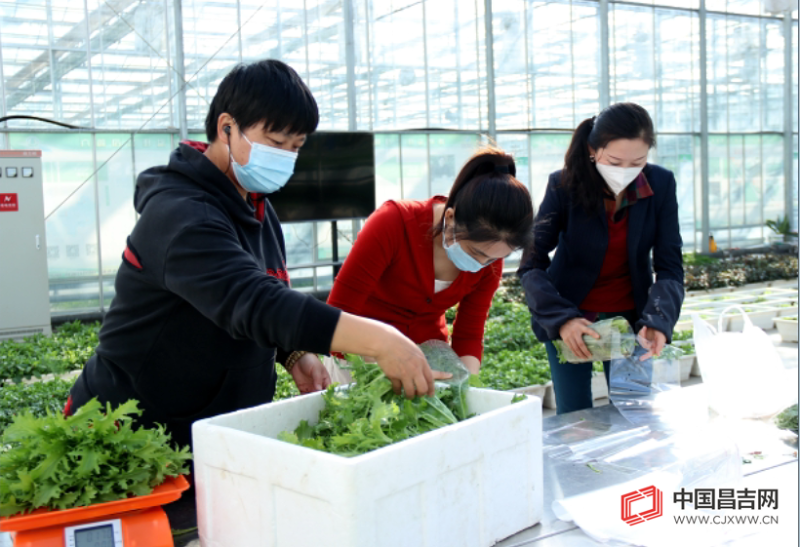 新疆农业博览园：农文旅融合打造城市新名片