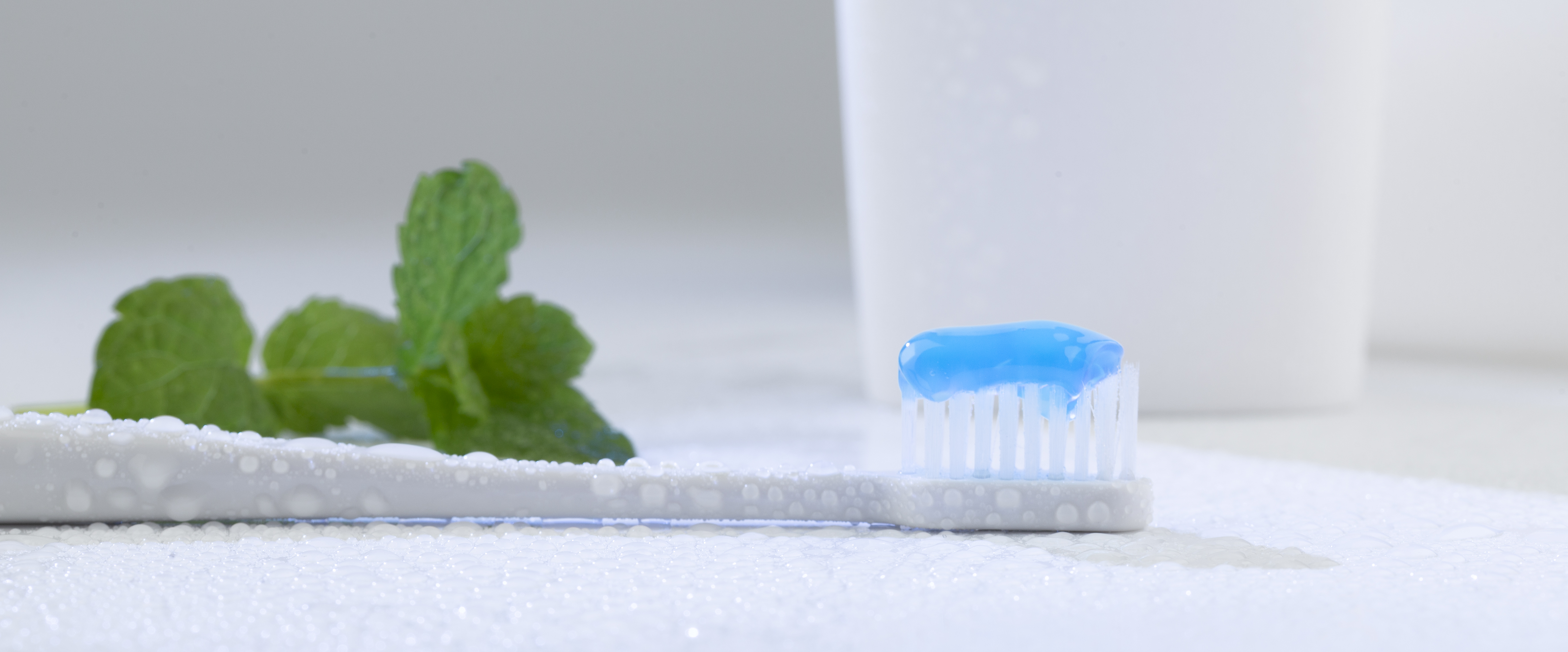 204823.jpg 204823.jpg