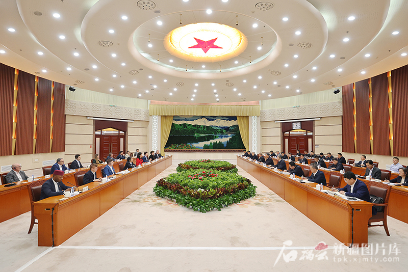 马兴瑞艾尔肯·吐尼亚孜会见欧洲企业家代表团