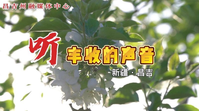 天山南北好“丰”景 | 听，丰收的声音